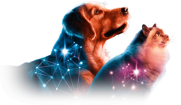 PHOVIA chien et chat