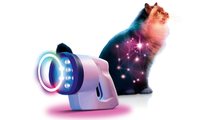 Lampe et chat
